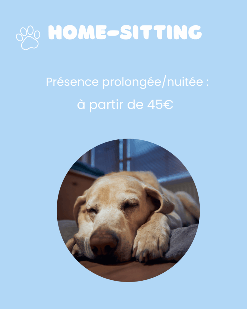 Home sitting chien Montpellier et environs par La Main à la Patte