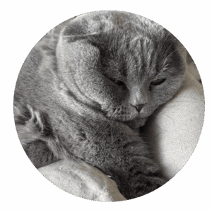 Pet sitting Chats sur Montpellier et alentours par La Main à la Patte