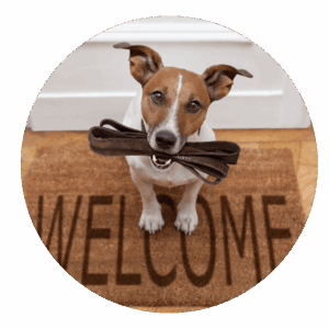 Pet sitting chien La Main à la Patte Montpellier et alentours